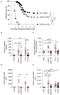 Intestinal Delivery of Proinsulin and IL-10 via Lactococcus lactis Combined With Low-Dose Anti-CD3 Restores Tolerance Outside the Window of Acute Type 1 Diabetes Diagnosis